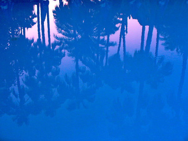 Елена Шимпф