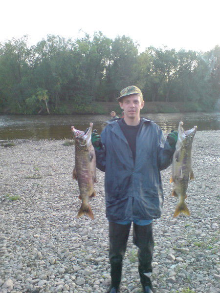 Александр Кравченко