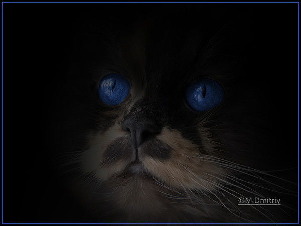 Максим Назаров