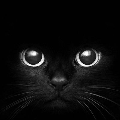 Дашулька Швецова