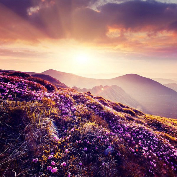 Юлия Титякова