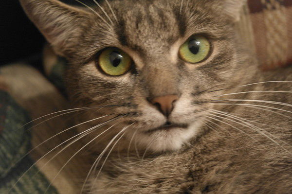 Наталия Филимонова