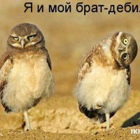 Роман Рыжков