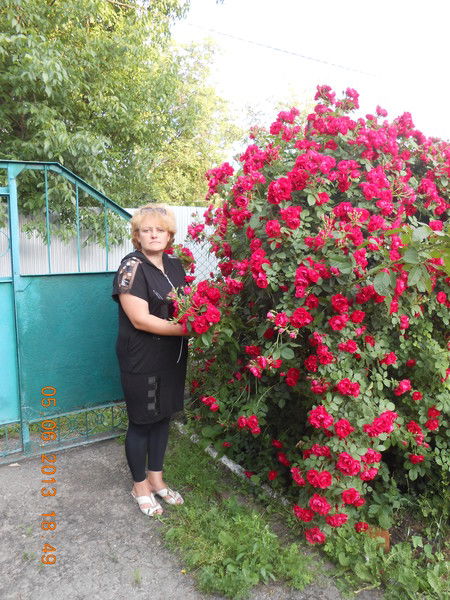 Ольга Ярема