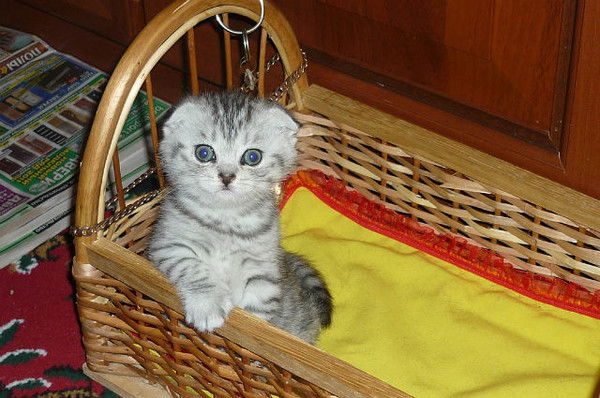 Н*а*д*е*ж*д*а \ М \