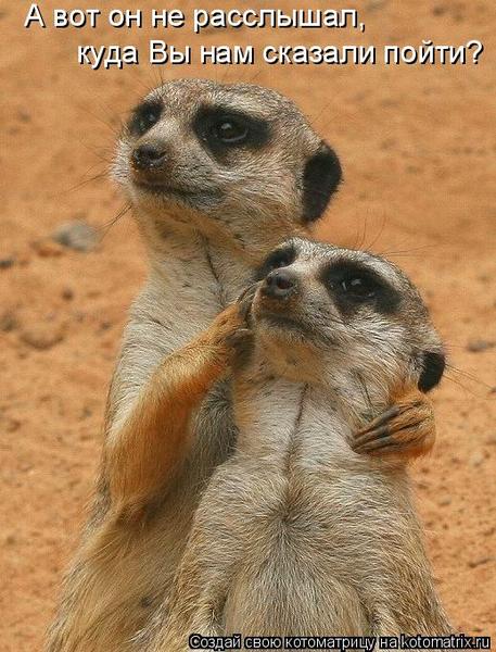 Арина Коновал