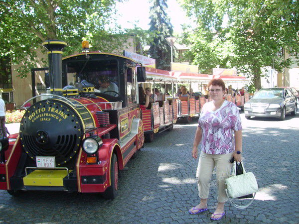 Елена Кожевникова