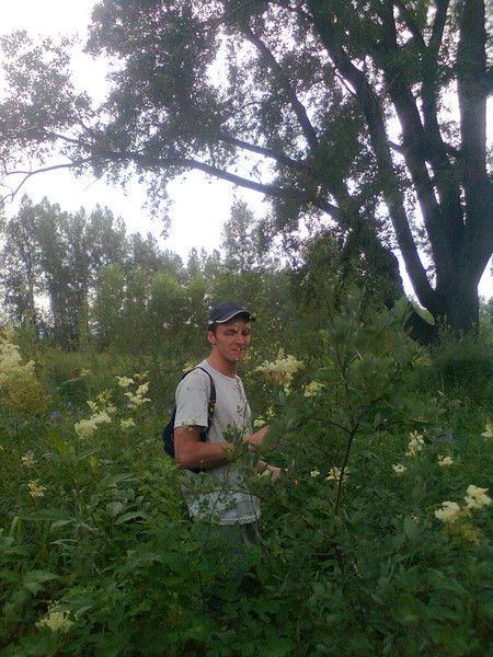 Артем Волков