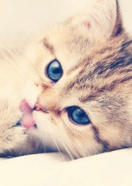 Рената Валиахмедова