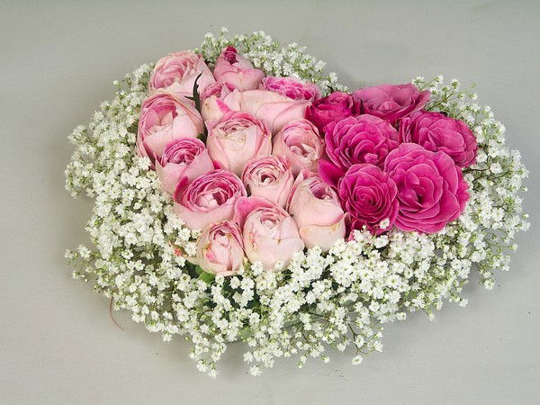 Асема ,,,,,,,,,,,