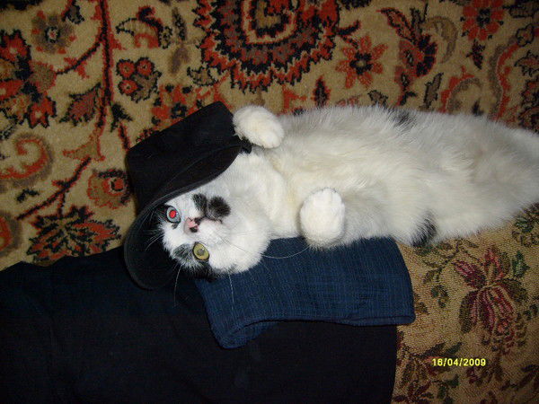 Михаил Цереня