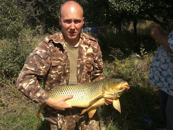 Вова Веселин