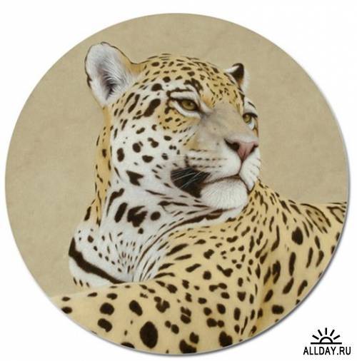 Дима Максименко