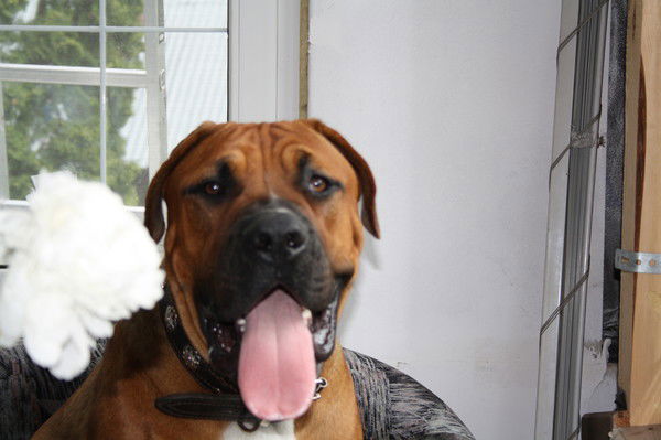 Руслан Низамов