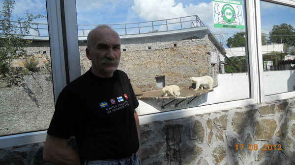 Это Я Усатик