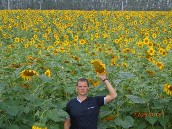 Михаил Дружинин