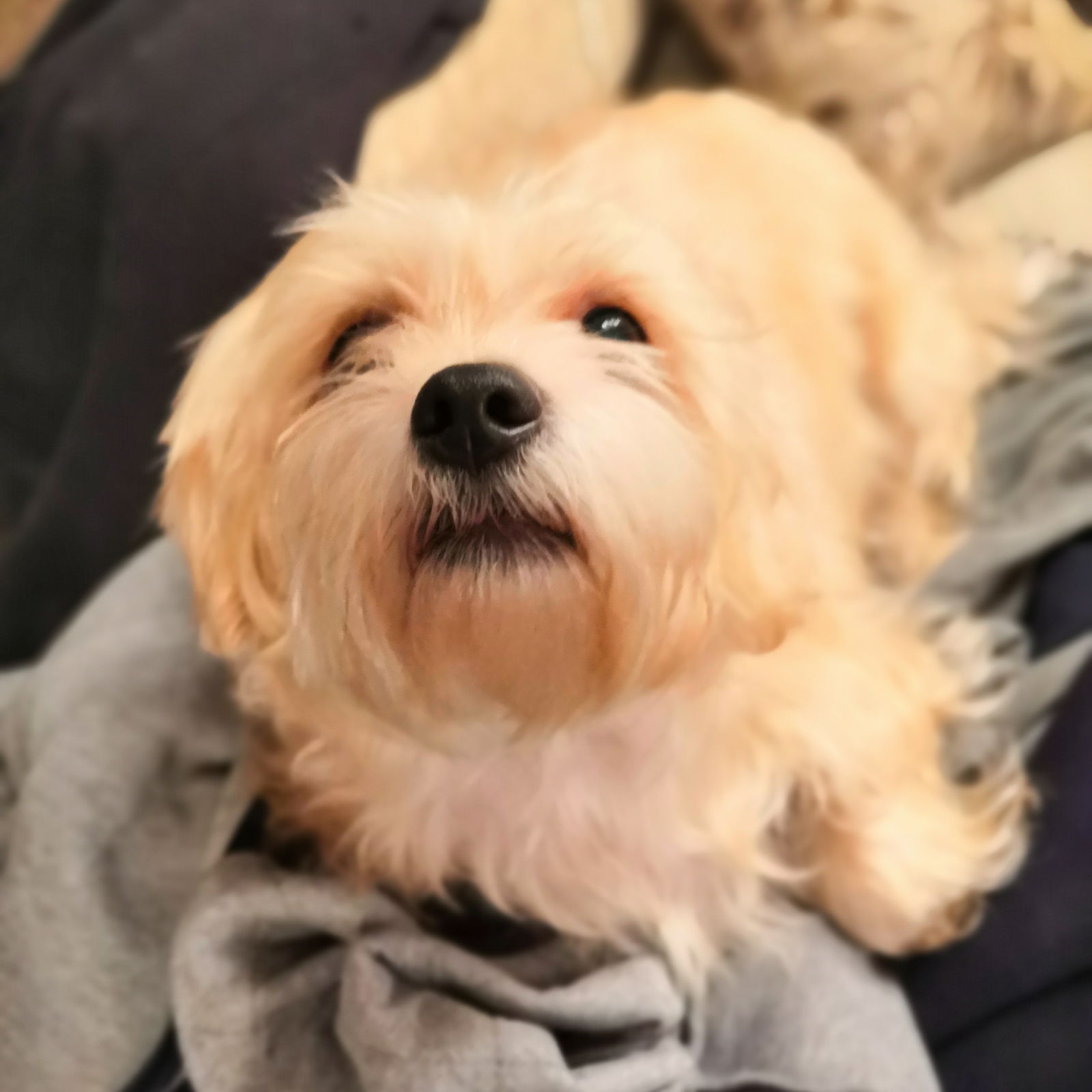 Ира Лакутина