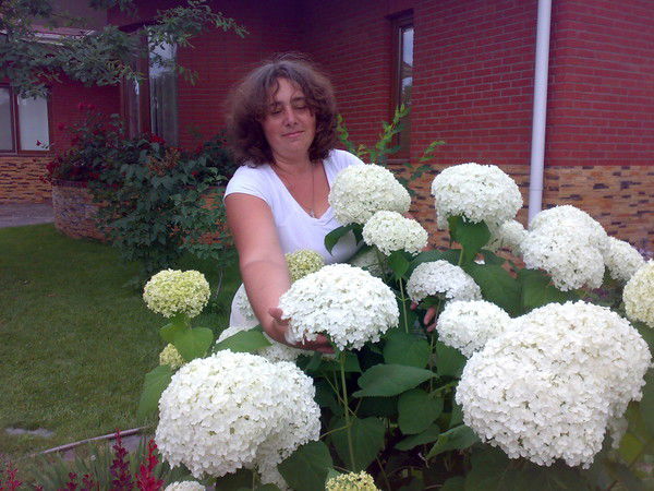 Ольга Афанасьева