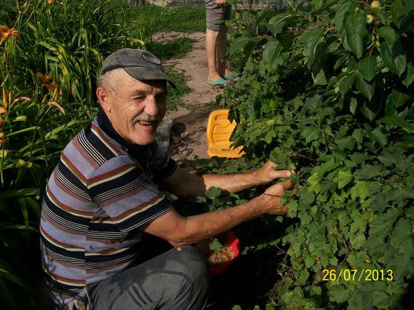 Николай Дворниченко