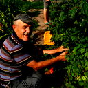 Николай Дворниченко