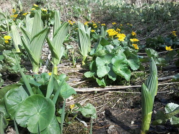 Гульмира Байгожина