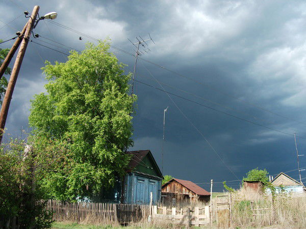 Владимир Чеботарев