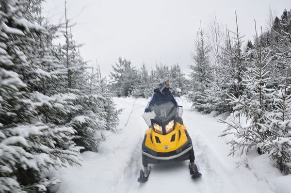 Владимир Маточкин