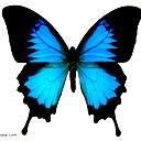 Ирина И Виктор Юбко