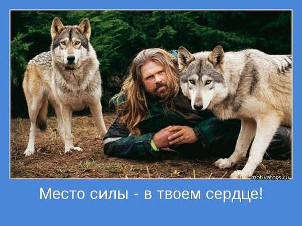 Твой Бред...) Brad.