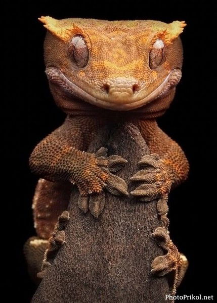 Наталья Хрулева