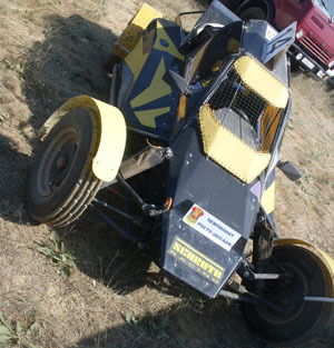 Роман Нельсон