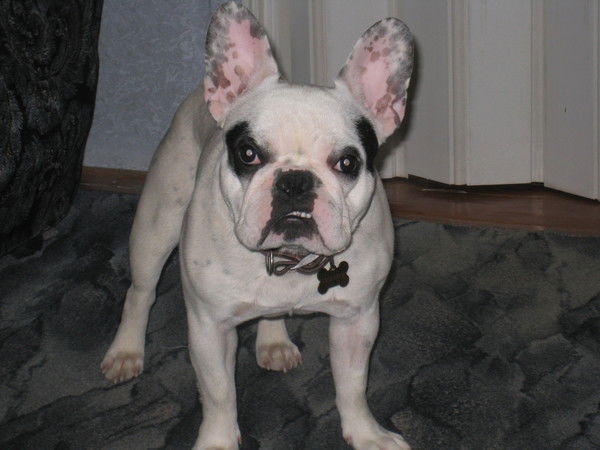 Неизвестно Неизвестно