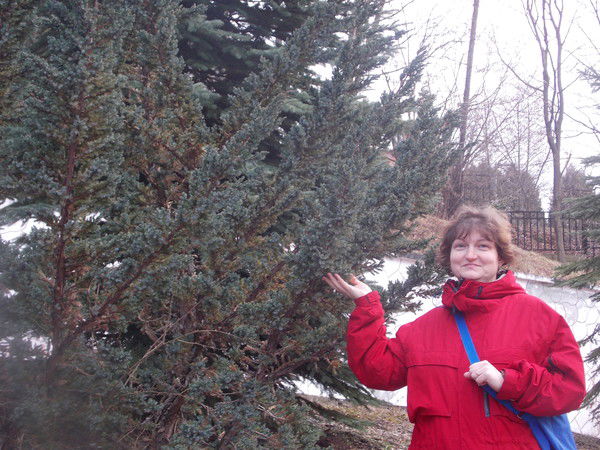 Татьяна Рыбальченко