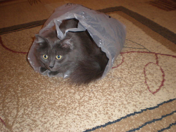 Алёна Зуева