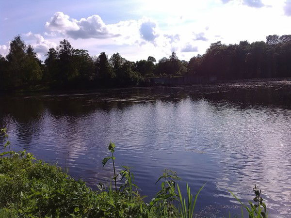 Елена Костина