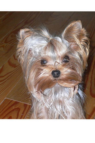 Ольга Васильевна Попова