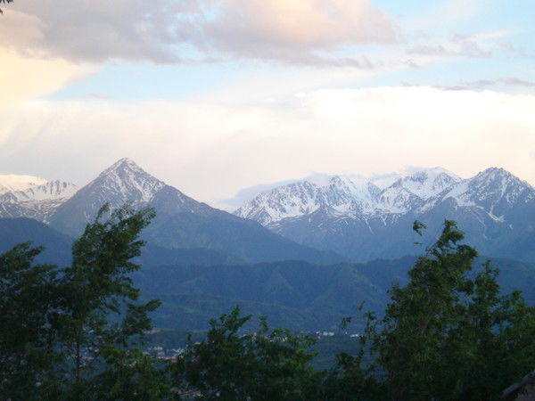 Наиля Полякова