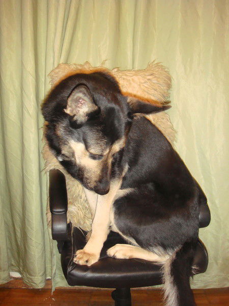 Наталья Базаркина