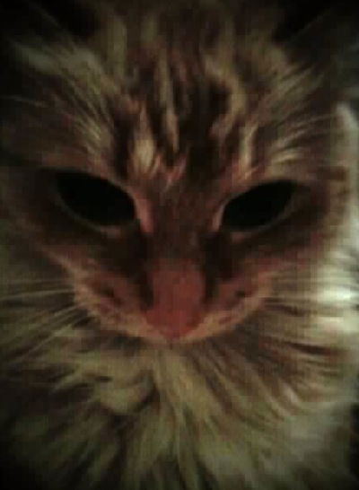 Валентина Евгеньевна