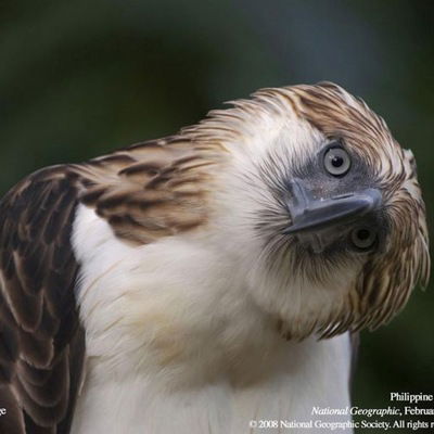 Просто Позитив