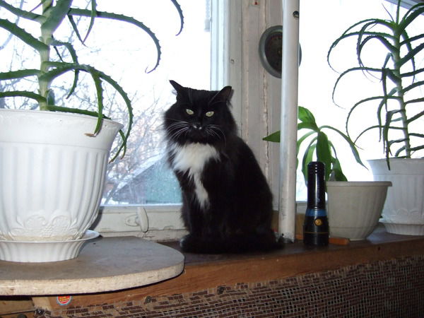 Сергей Чухнов