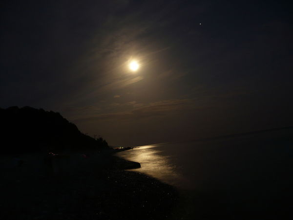 Алина Лукоянова