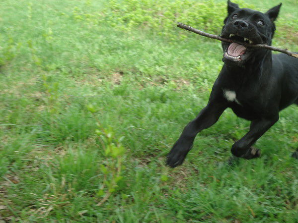 Эльмира Астраханбиева