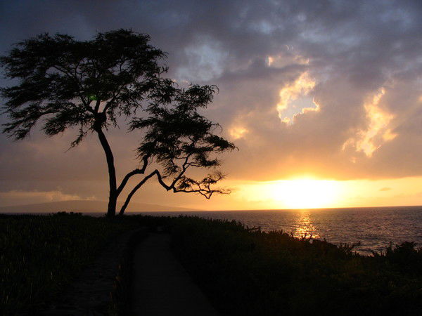 Игорь Иванов