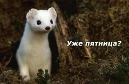 Александр Бельцов