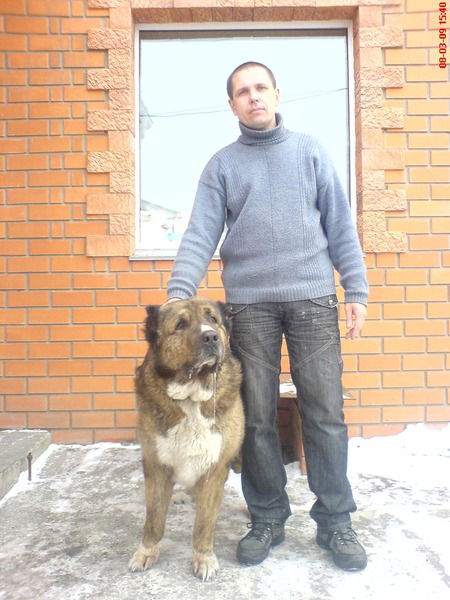 Дмитрий Попов