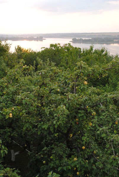 Валерий Носов