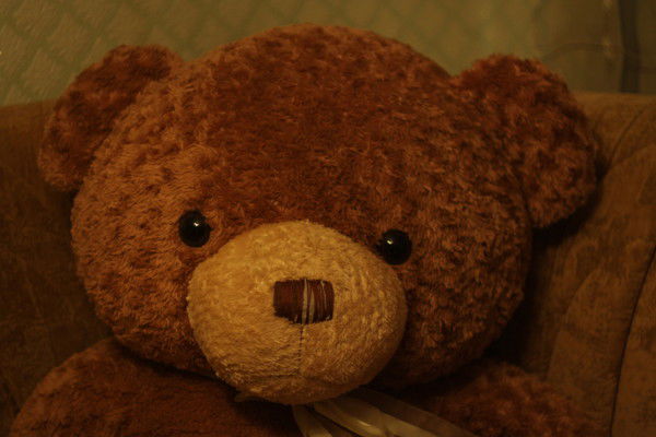 Дмитрий Гонтарь