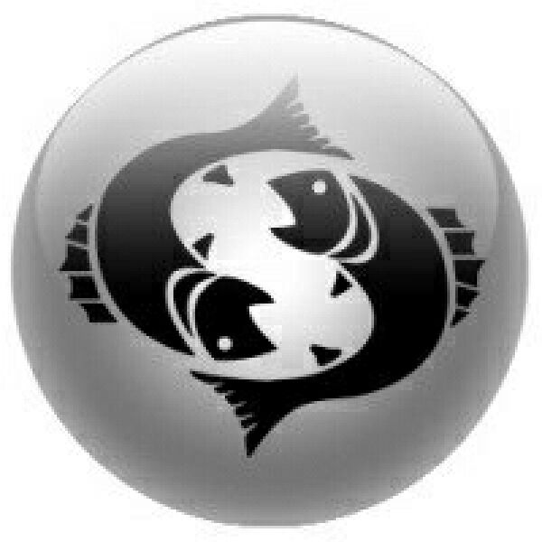 Владимир Бердников