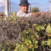 Леонид Гасевский